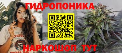 бошки Будённовск